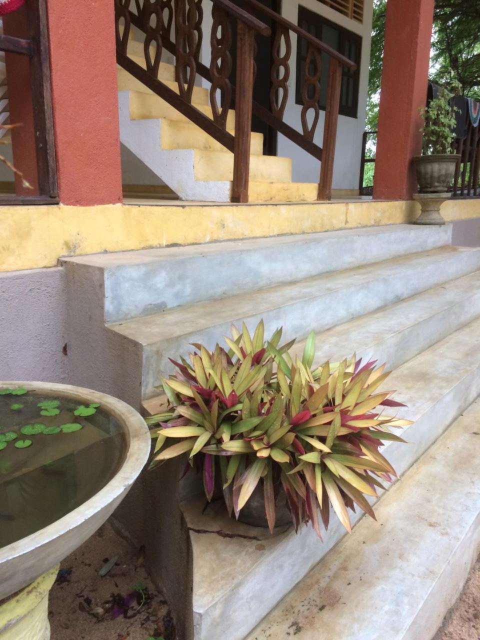 טנגלה Aloha Beach Resort מראה חיצוני תמונה